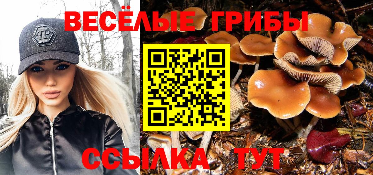 Псилоцибиновые грибы мухоморы Кузнецк
