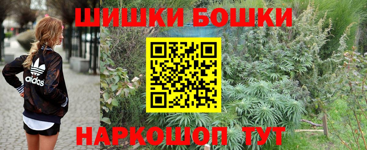 Бошки Шишки план Кузнецк